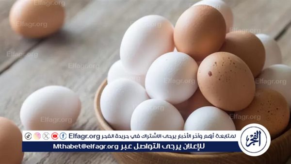 اسعار البيض اليوم السبت 28-12-2024 في الدقهلية