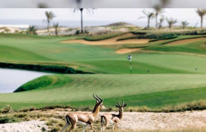 السياحة الخضراء في الإمارات.. جمال الطبيعة تحت مظلة الاستدامة