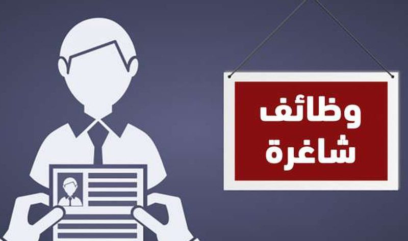 وظائف جديدة للشباب 2025.. لراغبي العمل في المؤسسات الحكومية – أي خدمة