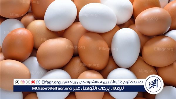 أسعار طبق البيض اليوم الاربعاء 1-1-2025 في قنا