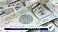 استقرار سعر الريال السعودي في البنوك المصرية اليوم 22 يناير 2025