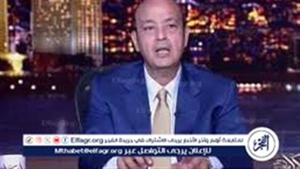 مصر دولة دفاعية ولا نريد أن نرى دمشق خنجرًا في ظهرنا